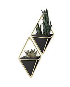 Umbra - Trigg Wall Display - Concrete Copper - Small